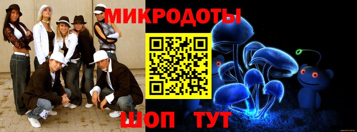 Галлюциногенные грибы Psilocybe  Вход с VPN  Коркино 